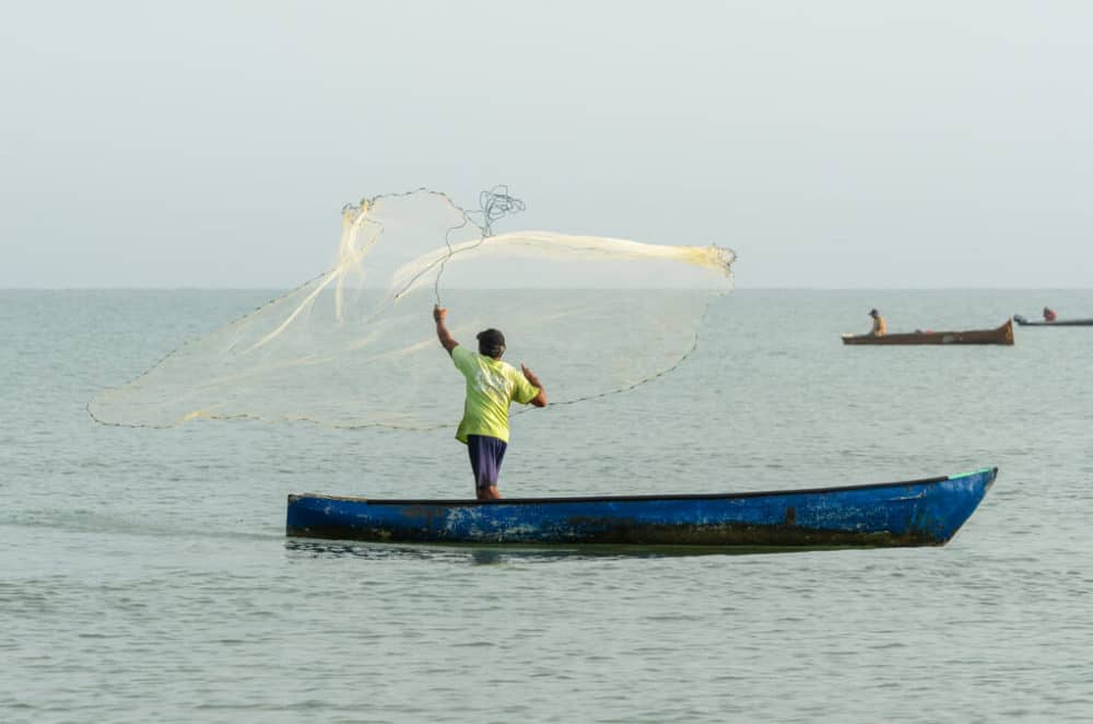 Pescador lanza su red en el mar desde su canoa